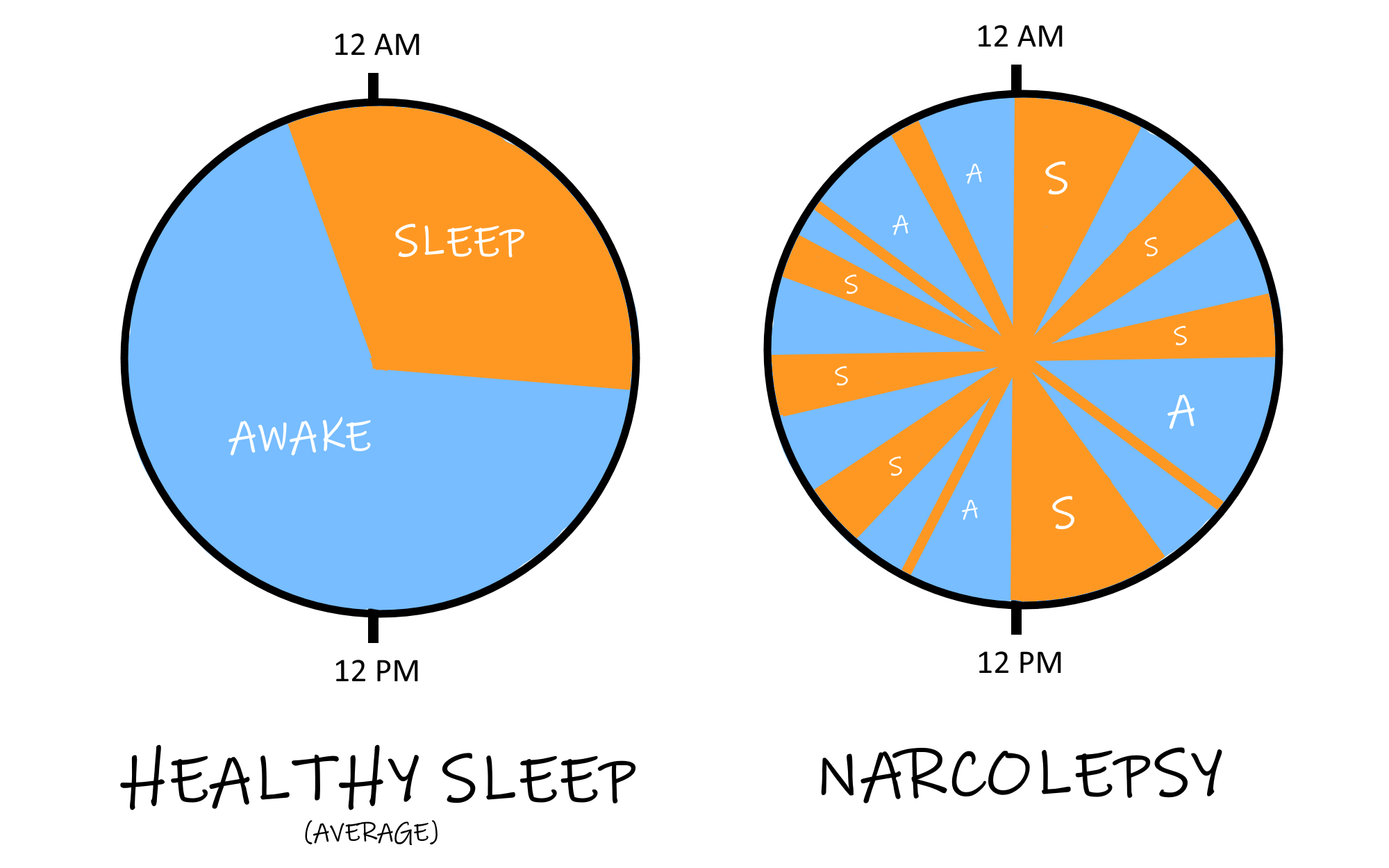Sleeping cycle. Нарколепсия. Polyphasic Sleep Cycle. Sleep Cycle график. Sleep circle.