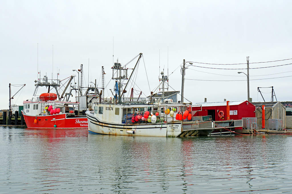 Conflicts over Mi’kmaq livelihood fishery continue in Nova Scotia The